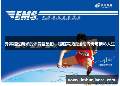 身高超过两米的体育巨星们：超越常规的运动传奇与精彩人生