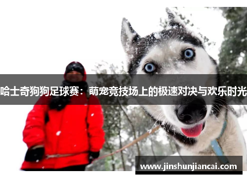 哈士奇狗狗足球赛：萌宠竞技场上的极速对决与欢乐时光